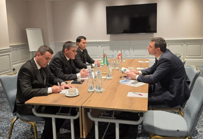 The development of railway cooperation with Georgia was discussed