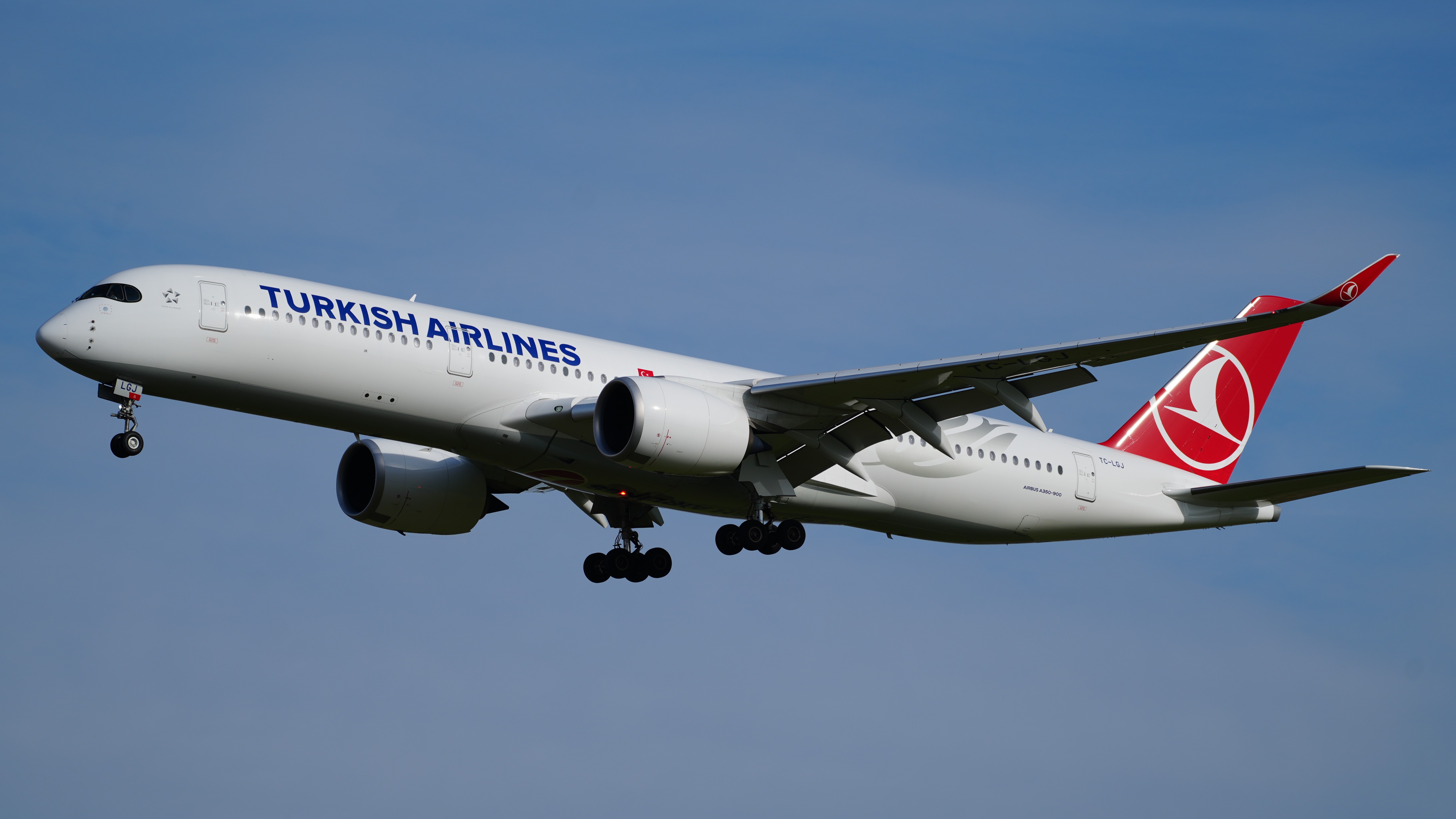 «Turkish Airlines» повысила тарифы на перевозку багажа, превышающего стандартные размеры
